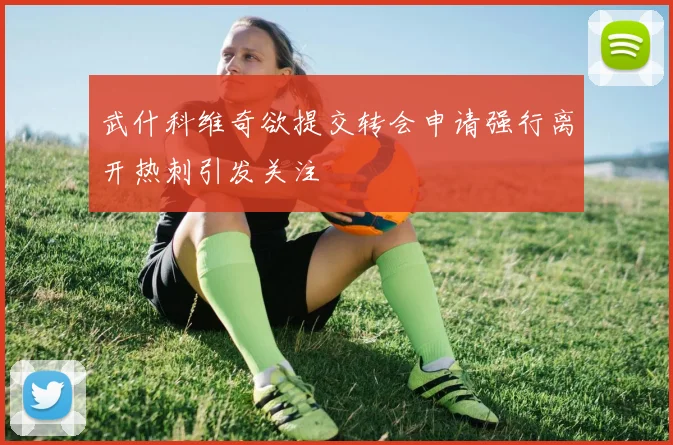 武什科维奇欲提交转会申请强行离开热刺引发关注